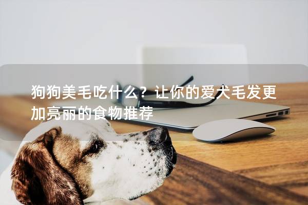 狗狗美毛吃什么？讓你的愛犬毛發更加亮麗的食物推薦