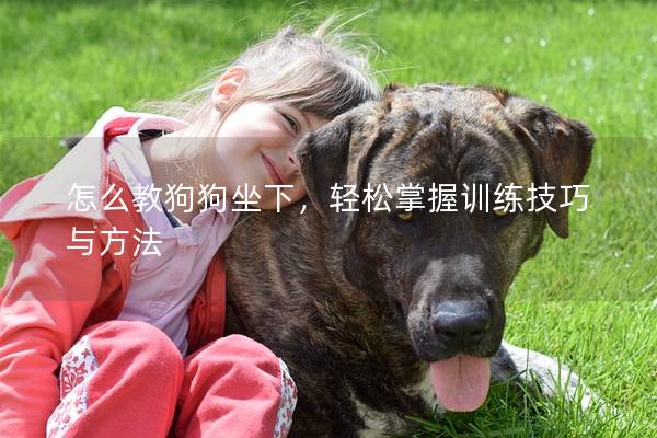 怎么教狗狗坐下,輕松掌握訓練技巧與方法 怎么教狗狗坐下,輕松掌握訓練技巧與方法