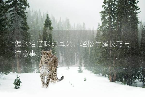怎么給貓咪掏耳朵，輕松掌握技巧與注意事項