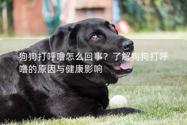 狗狗打呼嚕怎么回事？了解狗狗打呼嚕的原因與健康影響
