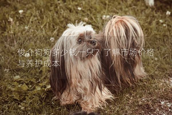 俊介狗狗多少錢一只?了解市場價格與養(yǎng)護成本 俊介狗狗多少錢一只?了解市場價格與養(yǎng)護成本