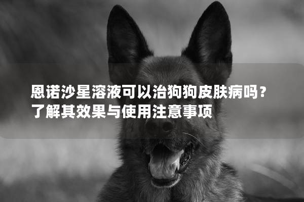 恩諾沙星溶液可以治狗狗皮膚病嗎?了解其效果與使用注意事項 恩諾沙星溶液可以治狗狗皮膚病嗎?了解其效果與使用注意事項