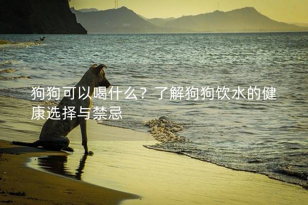 狗狗可以喝什么？了解狗狗飲水的健康選擇與禁忌