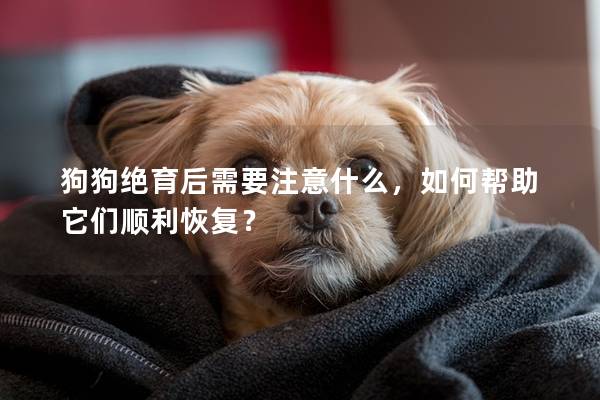 狗狗絕育后需要注意什么，如何幫助它們順利恢復(fù)？