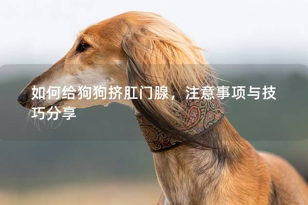 如何給狗狗擠肛門腺，注意事項與技巧分享