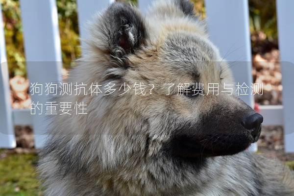 狗狗測抗體多少錢？了解費用與檢測的重要性