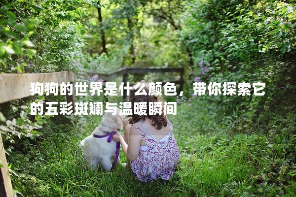 狗狗的世界是什么顏色，帶你探索它的五彩斑斕與溫暖瞬間