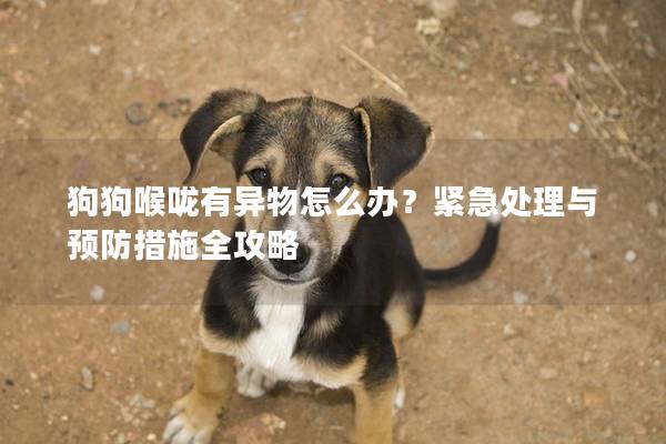 狗狗喉嚨有異物怎么辦?緊急處理與預防措施全攻略 狗狗喉嚨有異物怎么辦?緊急處理與預防措施全攻略