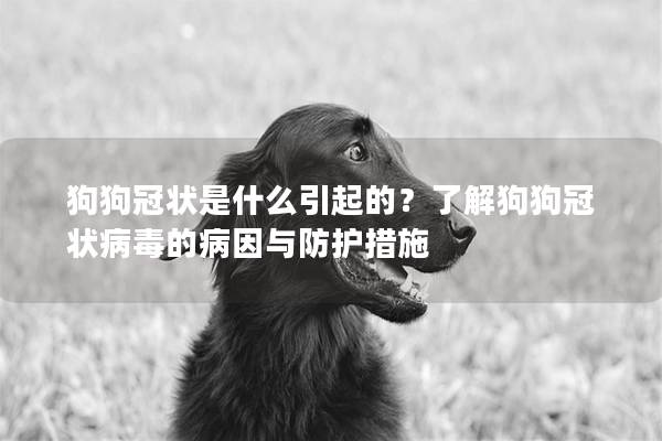 狗狗冠狀是什么引起的？了解狗狗冠狀病毒的病因與防護措施