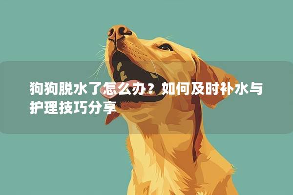 狗狗脫水了怎么辦?如何及時補水與護理技巧分享 狗狗脫水了怎么辦?如何及時補水與護理技巧分享