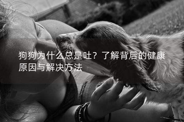 狗狗為什么總是吐？了解背后的健康原因與解決方法