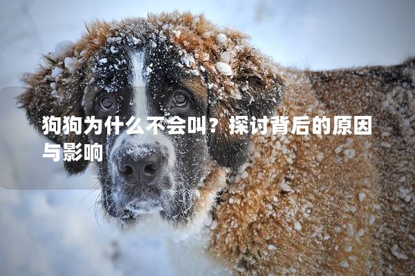 狗狗為什么不會叫？探討背后的原因與影響