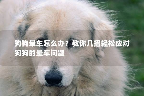 狗狗暈車怎么辦？教你幾招輕松應(yīng)對狗狗的暈車問題