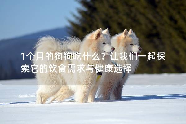 1個月的狗狗吃什么？讓我們一起探索它的飲食需求與健康選擇