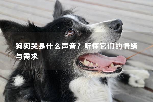 狗狗哭是什么聲音？聽懂它們的情緒與需求