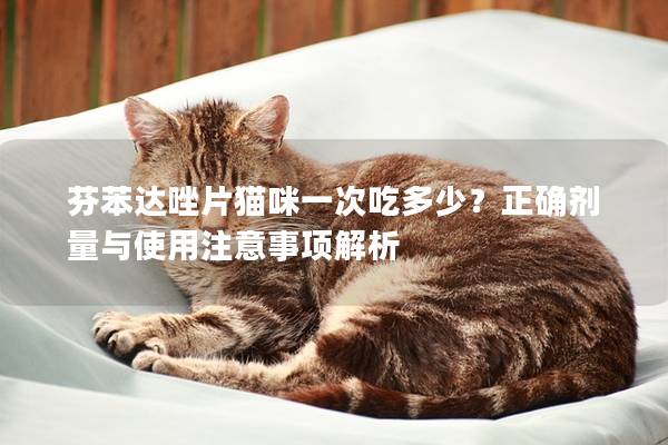 芬苯達(dá)唑片貓咪一次吃多少?正確劑量與使用注意事項(xiàng)解析