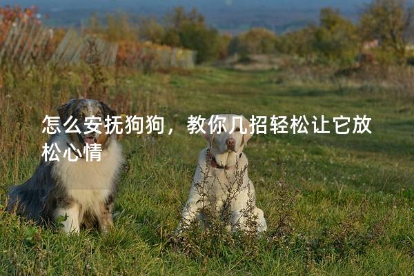 怎么安撫狗狗,教你幾招輕松讓它放松心情 怎么安撫狗狗,教你幾招輕松讓它放松心情