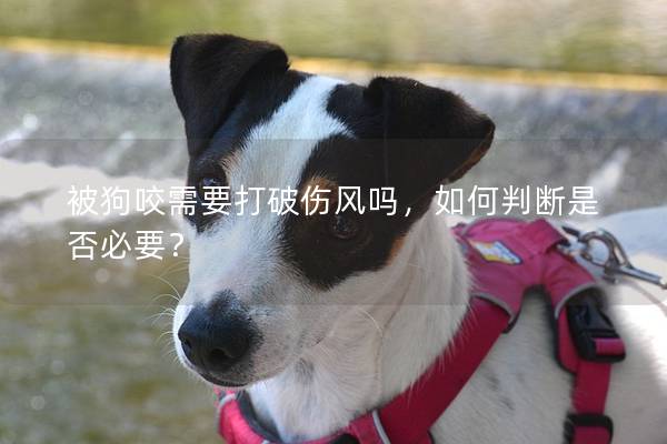 被狗咬需要打破傷風嗎，如何判斷是否必要？