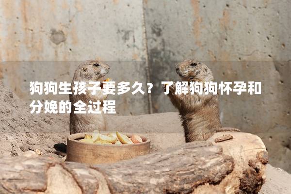狗狗生孩子要多久？了解狗狗懷孕和分娩的全過程