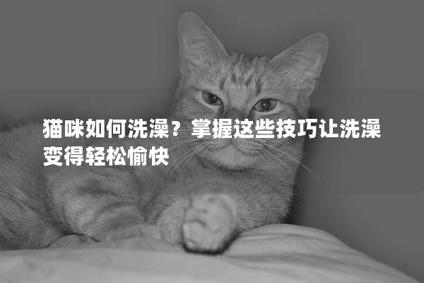 貓咪如何洗澡？掌握這些技巧讓洗澡變得輕松愉快