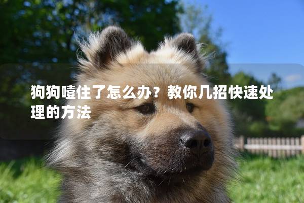 狗狗噎住了怎么辦？教你幾招快速處理的方法