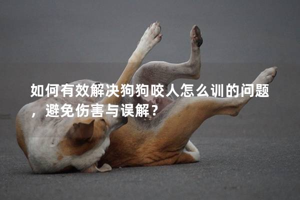 如何有效解決狗狗咬人怎么訓的問題，避免傷害與誤解？