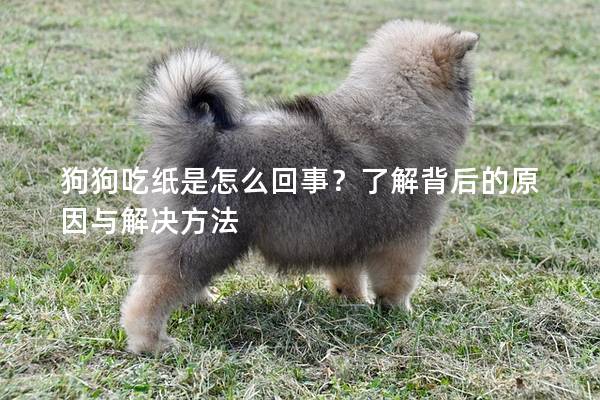 狗狗吃紙是怎么回事？了解背后的原因與解決方法