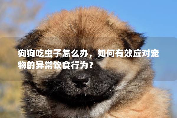 狗狗吃蟲子怎么辦，如何有效應對寵物的異常飲食行為？