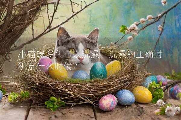 小貓咪多久可以洗澡,洗澡的正確時機是什么時候? 小貓咪多久可以洗澡,洗澡的正確時機是什么時候?