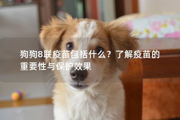 狗狗8聯疫苗包括什么？了解疫苗的重要性與保護效果