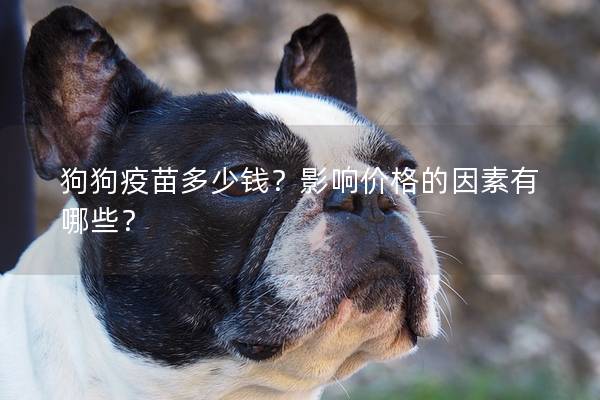 狗狗疫苗多少錢?影響價(jià)格的因素有哪些? 狗狗疫苗多少錢?影響價(jià)格的因素有哪些?