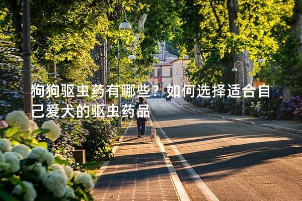 狗狗驅(qū)蟲藥有哪些?如何選擇適合自己愛犬的驅(qū)蟲藥品 狗狗驅(qū)蟲藥有哪些?如何選擇適合自己愛犬的驅(qū)蟲藥品
