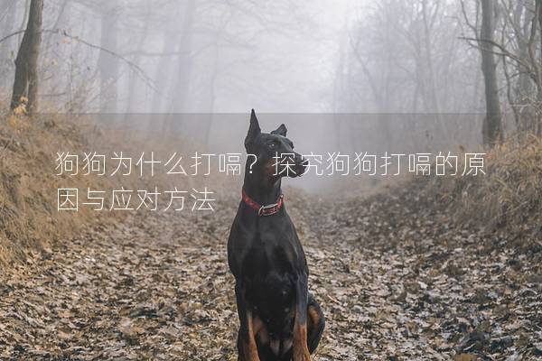 狗狗為什么打嗝？探究狗狗打嗝的原因與應對方法