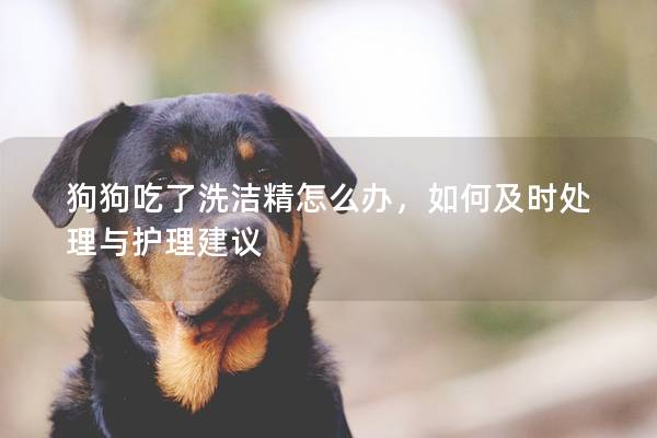 狗狗吃了洗潔精怎么辦，如何及時處理與護理建議