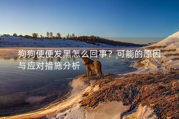 狗狗便便發黑怎么回事？可能的原因與應對措施分析