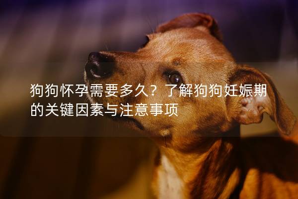 狗狗懷孕需要多久？了解狗狗妊娠期的關鍵因素與注意事項