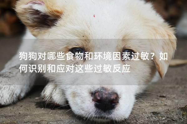 狗狗對哪些食物和環境因素過敏？如何識別和應對這些過敏反應