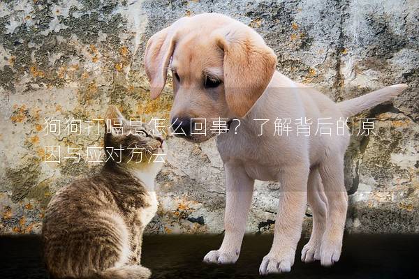 狗狗打嗝是怎么回事？了解背后的原因與應(yīng)對(duì)方法