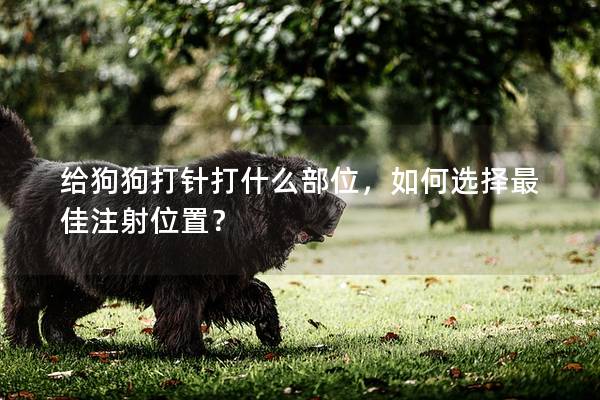 給狗狗打針打什么部位,如何選擇最佳注射位置? 給狗狗打針打什么部位,如何選擇最佳注射位置?