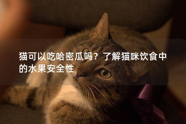 貓可以吃哈密瓜嗎？了解貓咪飲食中的水果安全性