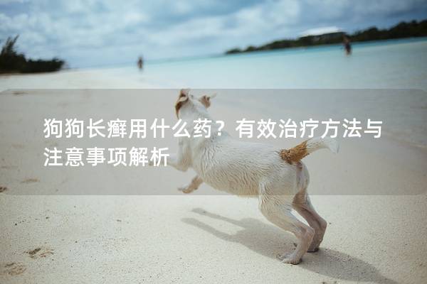 狗狗長癬用什么藥？有效治療方法與注意事項解析