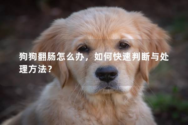 狗狗翻腸怎么辦，如何快速判斷與處理方法？