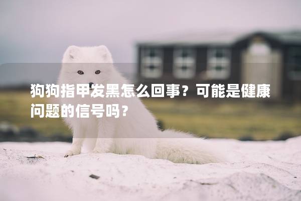 狗狗指甲發(fā)黑怎么回事?可能是健康問題的信號嗎? 狗狗指甲發(fā)黑怎么回事?可能是健康問題的信號嗎?