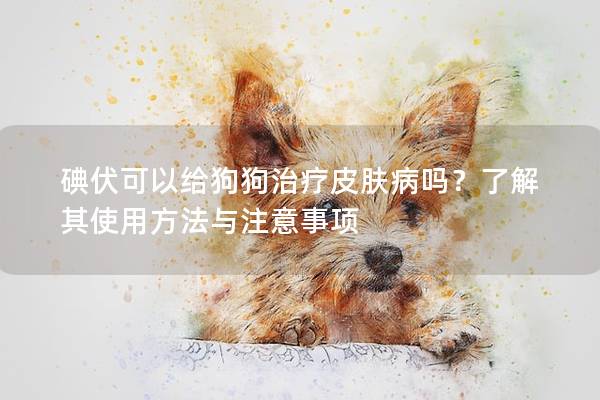 碘伏可以給狗狗治療皮膚病嗎?了解其使用方法與注意事項 碘伏可以給狗狗治療皮膚病嗎?了解其使用方法與注意事項