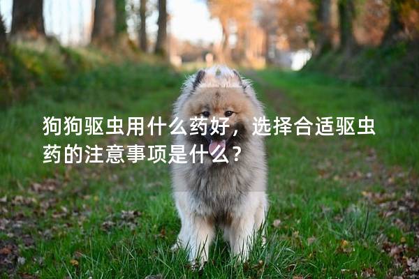狗狗驅蟲用什么藥好，選擇合適驅蟲藥的注意事項是什么？