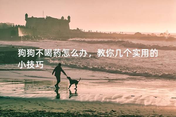 狗狗不喝藥怎么辦，教你幾個實用的小技巧