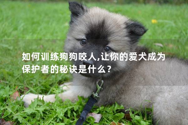 如何訓練狗狗咬人,讓你的愛犬成為保護者的秘訣是什么？