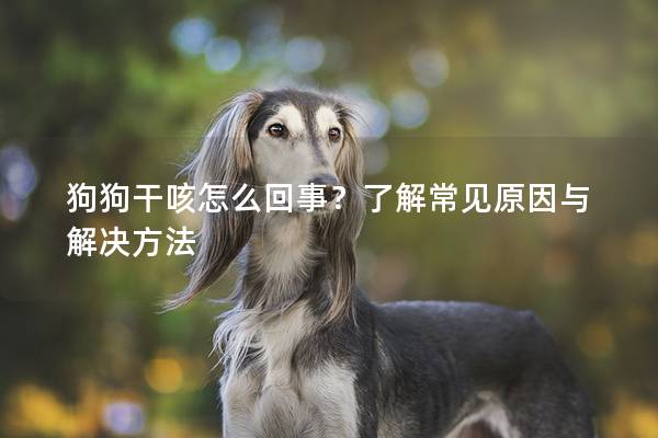 狗狗干咳怎么回事?了解常見原因與解決方法