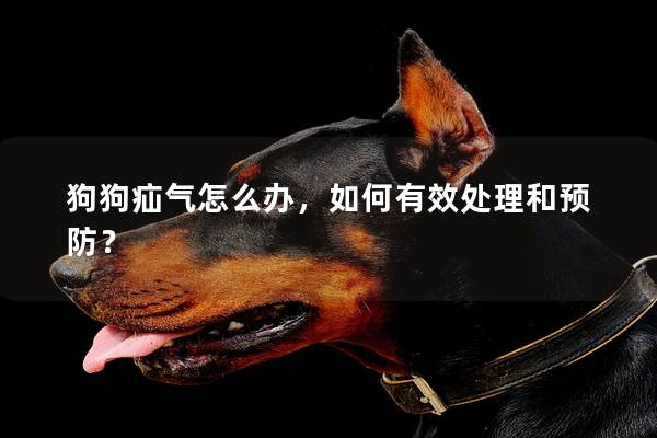 狗狗疝氣怎么辦,如何有效處理和預防? 狗狗疝氣怎么辦,如何有效處理和預防?