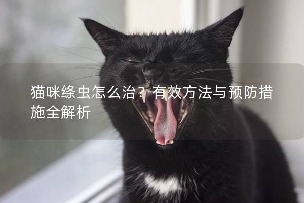 貓咪絳蟲怎么治？有效方法與預(yù)防措施全解析